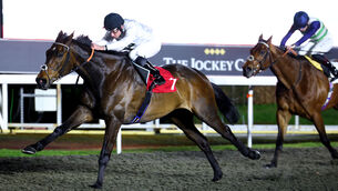 <p>Constitution Hill is among the 101 initial entries for the Melbourne Cup. Pic: Healy Racing</p> <p>Constitution Hill is among the 101 initial entries for the Melbourne Cup. Pic: Healy Racing</p>