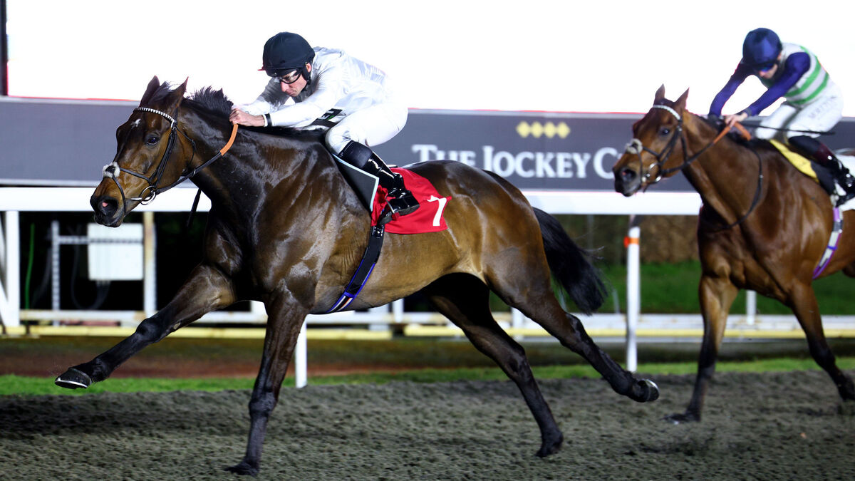 Constitution Hill’s Melbourne Cup dream to become clearer at Kempton
