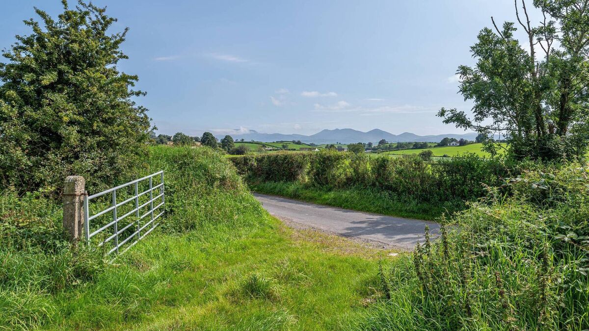 Cork County Council urged to crack down on landowners over overgrown roadside hedges