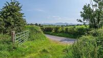 Metal gate Rural lane, edged by hedges, leading towards mountains in the distance