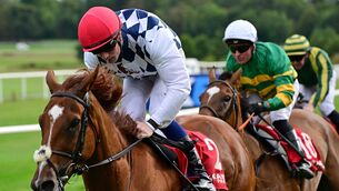 <p>Banbridge and Joey Sheridan win the Racing Again September 19th Maiden. Pic: Healy Racing</p>