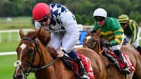Banbridge scores on Flat debut to delight of trainer Joseph O'Brien 