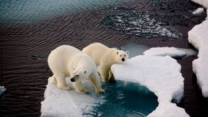 <p>Global heating will reach at least 1.8C under even the most optimistic future, well beyond the Paris agreement goal of 1.5C, according to a UN report.</p> <p>Global heating will reach at least 1.8C under even the most optimistic future, well beyond the Paris agreement goal of 1.5C, according to a UN report.</p>