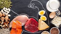 Composition with high protein food.