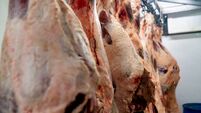 Close up shot of raw meat hanging on hooks at a slaughterhouse