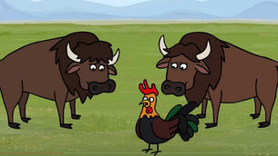 Sminky Shorts release sketch especially for Ireland's clash with France