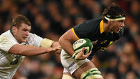 Ulster sign Springboks back row Marcell Coetzee