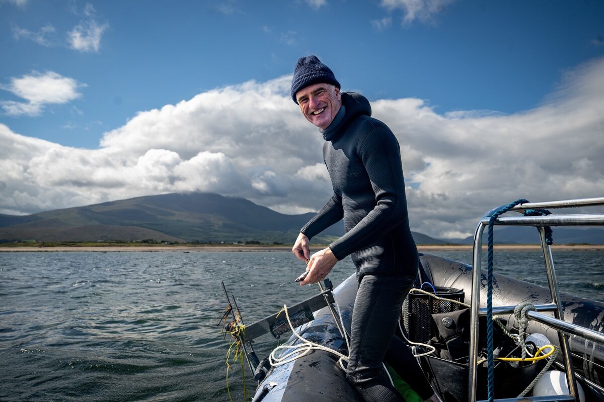 Ken O’Sullivan says his years spent diving with sharks have never left him feeling threatened by the animals. Picture: Chani Anderson Ken O’Sullivan says his years spent diving with sharks have never left him feeling threatened by the animals. Picture: Chani Anderson