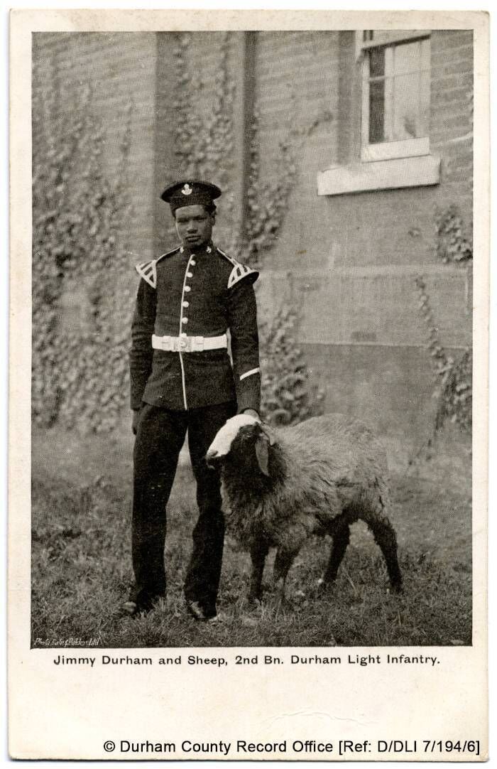 Jimmy Durham and sheep, 2nd Batallion, Durham Light Infantry. Reproduced by permission of Durham County Record Office Jimmy Durham and sheep, 2nd Batallion, Durham Light Infantry. Reproduced by permission of Durham County Record Office