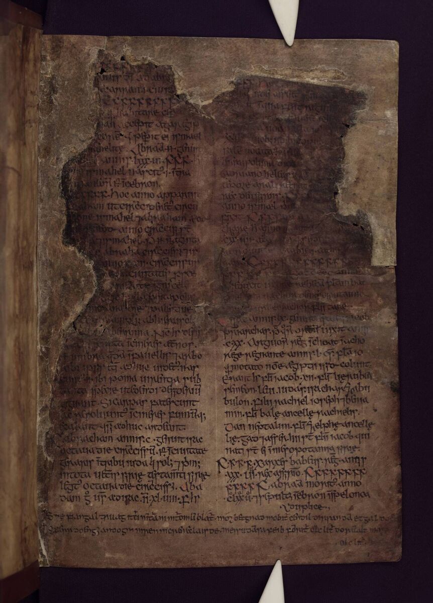 The 57 vellum leaves of The Annals of Inisfallen preserve a unique record of Ireland's political, ecclesiastical and cultural life across generations. The 57 vellum leaves of The Annals of Inisfallen preserve a unique record of Ireland's political, ecclesiastical and cultural life across generations.