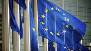 <p>Professor Matthews, emeritus professor of European agricultural policy at Trinity College Dublin, said agriculture no longer enjoyed the privileged position it once held within the EU budget.</p> <p>Professor Matthews, emeritus professor of European agricultural policy at Trinity College Dublin, said agriculture no longer enjoyed the privileged position it once held within the EU budget.</p>