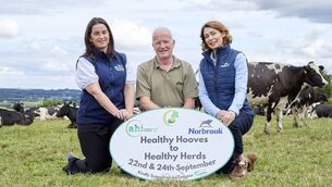 <p>(Left to right) Michelle McGrath, Hoof HealthCheck programme manager at Animal Health Ireland; Ger Cusack, chair of the Hoof HealthCheck Technical Working Group, Maura Langan, Commercial and Technical manager with Norbrook, launching the “Healthy Hooves to Healthy Herds” events. Photo: Maria Kelly </p> <p>(Left to right) Michelle McGrath, Hoof HealthCheck programme manager at Animal Health Ireland; Ger Cusack, chair of the Hoof HealthCheck Technical Working Group, Maura Langan, Commercial and Technical manager with Norbrook, launching the “Healthy Hooves to Healthy Herds” events. Photo: Maria Kelly </p>