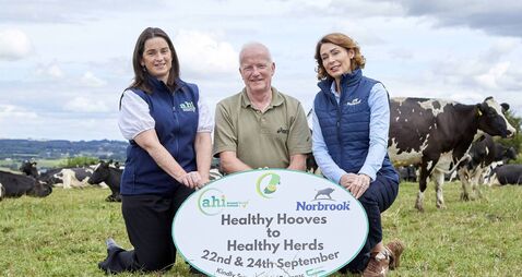 Animal Health Ireland launches events to help farmers prevent cattle lameness