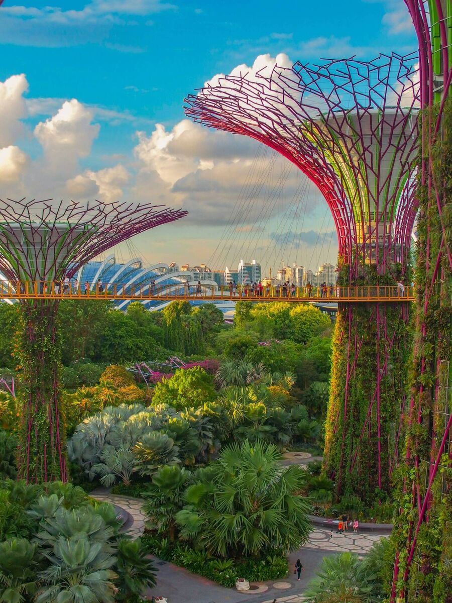 The Gardens by the Bay, Singapore