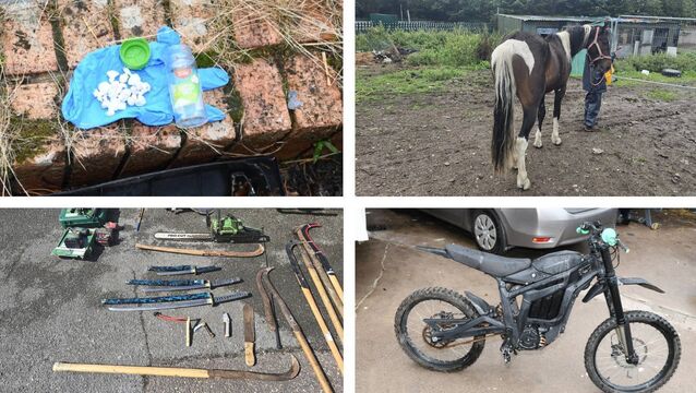 <p>Seized items after the Garda operation in Mahon on Wednesday, September 2. </p>