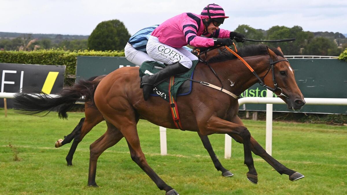 Timurshah completes five-timer in Kilberrey Handicap