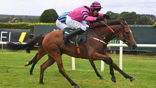 <p>Timurshah and Derek O'Connor win for trainer Aidan Melia. Pic:Healy Racing.</p> <p>Timurshah and Derek O'Connor win for trainer Aidan Melia. Pic:Healy Racing.</p>