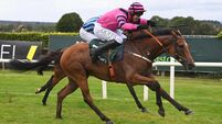 Timurshah completes five-timer in Kilberrey Handicap