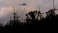 Slievenamon wildfire