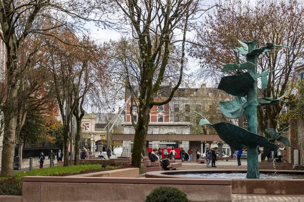 Revamped Bishop Lucey Park Picture: Clare Keogh Revamped Bishop Lucey Park Picture: Clare Keogh