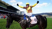 Galopin Des Champs File Photo