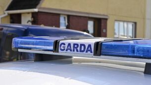 <p>The court heard that a garda in a patrol car managed to use his vehicle to obstruct the driving of the stolen car. File picture</p>