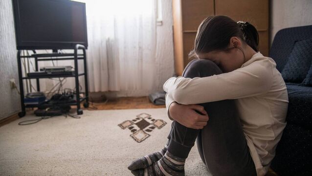 <p>It is expected that the number of identified victims is much higher than the current system has recognised.</p>