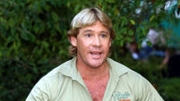 1598792 Steve Irwin Crocodile Hunter