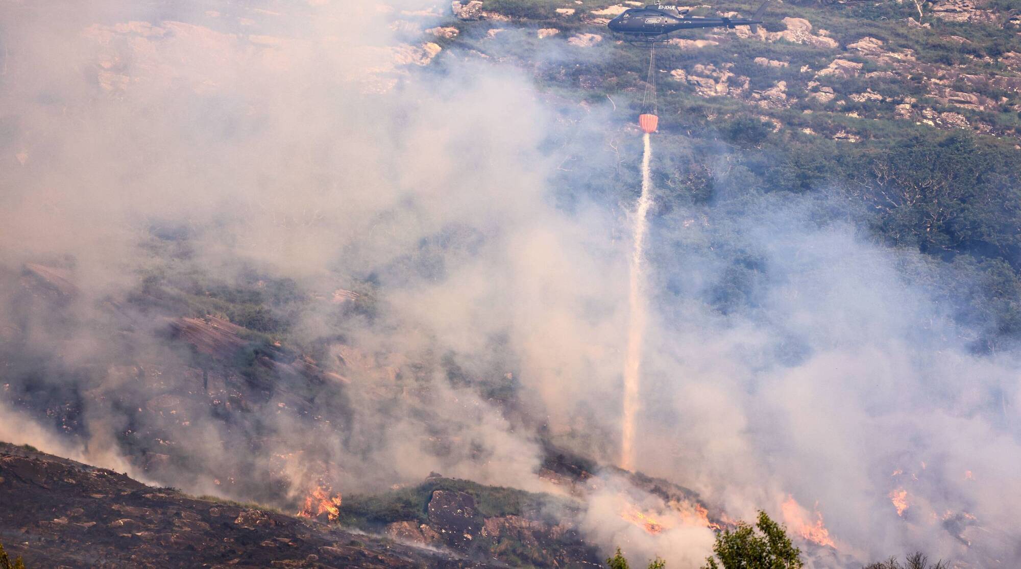 A wildfire in Killarney National Park this summer. Photo: Valerie O'Sullivan/NPWS