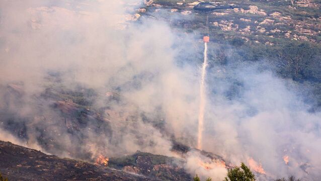 <p>A wildfire in Killarney National Park this summer. Photo: Valerie O'Sullivan/NPWS</p>