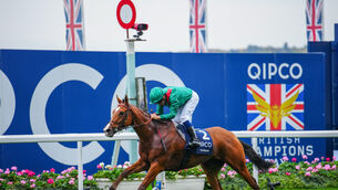 <p>RULED OUT: Despite ending last year as the world’s highest-rated racehorse, the gelded Calandagan was denied the chance to run in the Prix de l’Arc de Triomphe. Picture: Healy Racing</p> <p>RULED OUT: Despite ending last year as the world’s highest-rated racehorse, the gelded Calandagan was denied the chance to run in the Prix de l’Arc de Triomphe. Picture: Healy Racing</p>