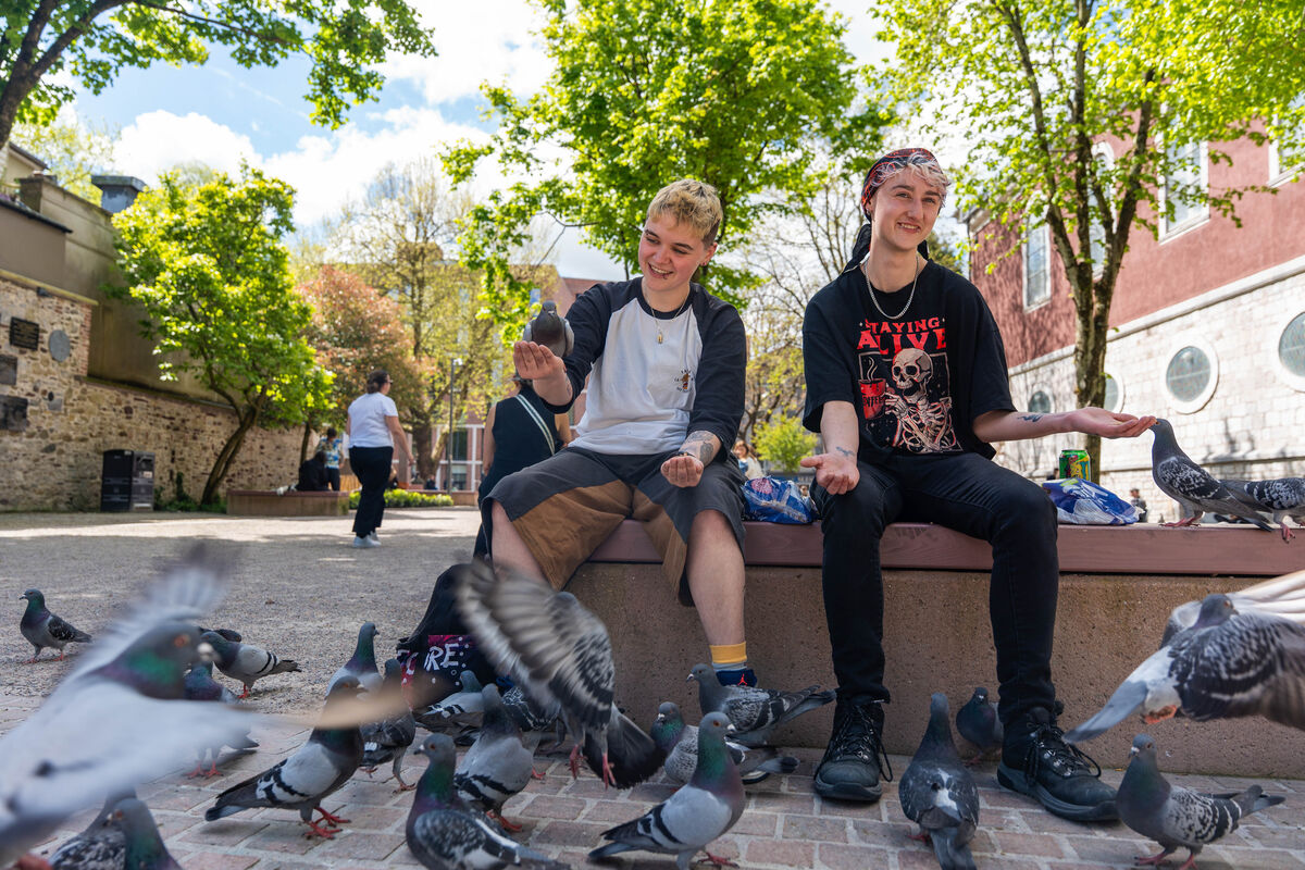 Niamh Delaney and James McCarthy hanging out in the sun and feeding pigeons at Bishop Lucey Park. Picture: Noel Sweeney Niamh Delaney and James McCarthy hanging out in the sun and feeding pigeons at Bishop Lucey Park. Picture: Noel Sweeney