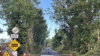 Boy, 12, killed in Mayo train crash named locally as Eoin Doyle Boy, 12, killed in Mayo train crash named locally as Eoin Doyle