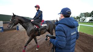 <p>Gstaad and Pa Murphy pictured for Irish Champions Weekend Media Morning with trainer Aidan O'Brien. Pic: Healy Racing</p> <p>Gstaad and Pa Murphy pictured for Irish Champions Weekend Media Morning with trainer Aidan O'Brien. Pic: Healy Racing</p>
