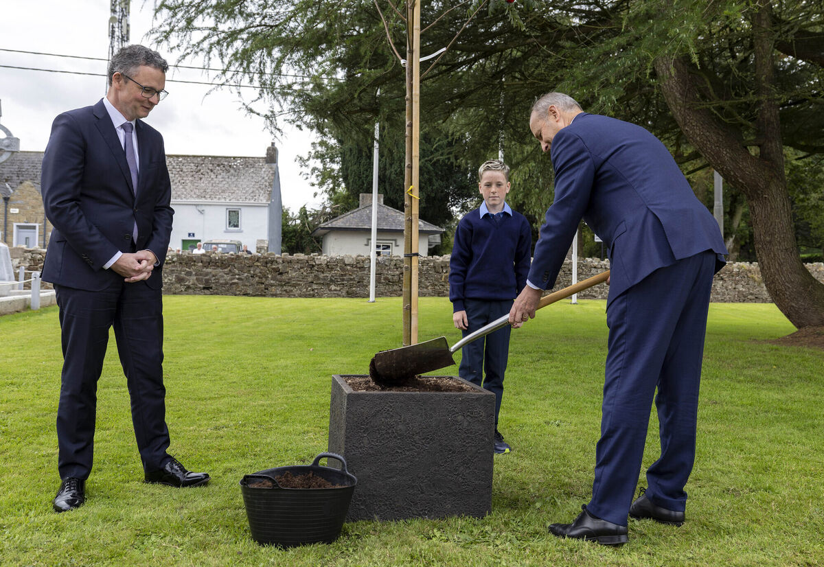 Planting the tree with Taoiseach Micheál Martin and culture minister Patrick O'Donovan was Daithi Noonan. Picture: Arthur Ellis