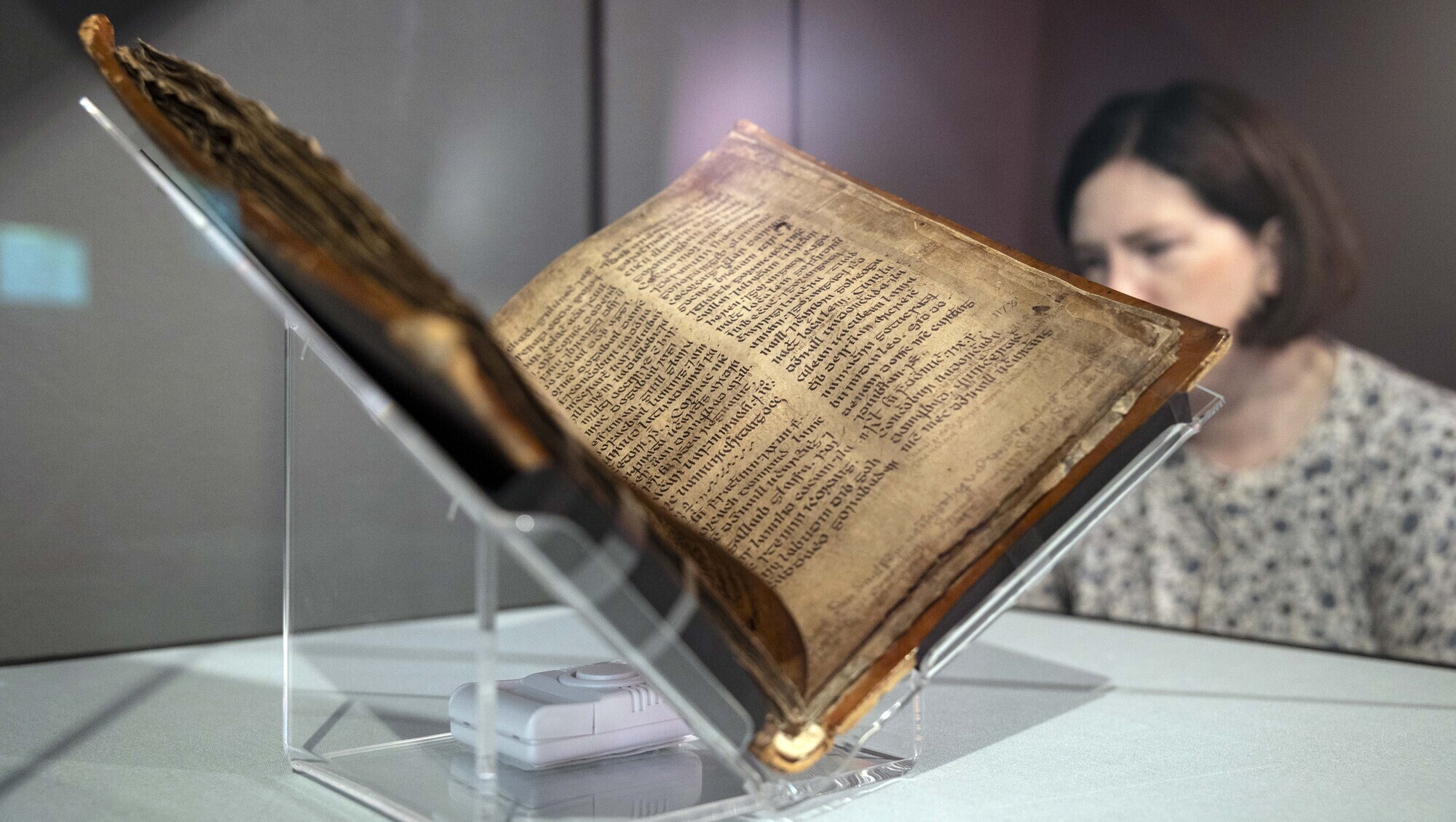 Elaine Harrington from UCC library views The Annals of Inisfallen. 'Many such items were stolen from Ireland in the first place, in a form of colonial plunder, and they should return to Irish ownership,” Donnchadh Ó Laoghaire said. Picture: Clare Keogh