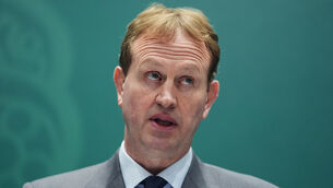 <p>On Wednesday, justice minister Jim O’Callaghan will ask the Cabinet to approve the priority drafting of the Irish Nationality and Citizenship (Amendment) Bill 2026. File picture: Brian Lawless/PA</p>