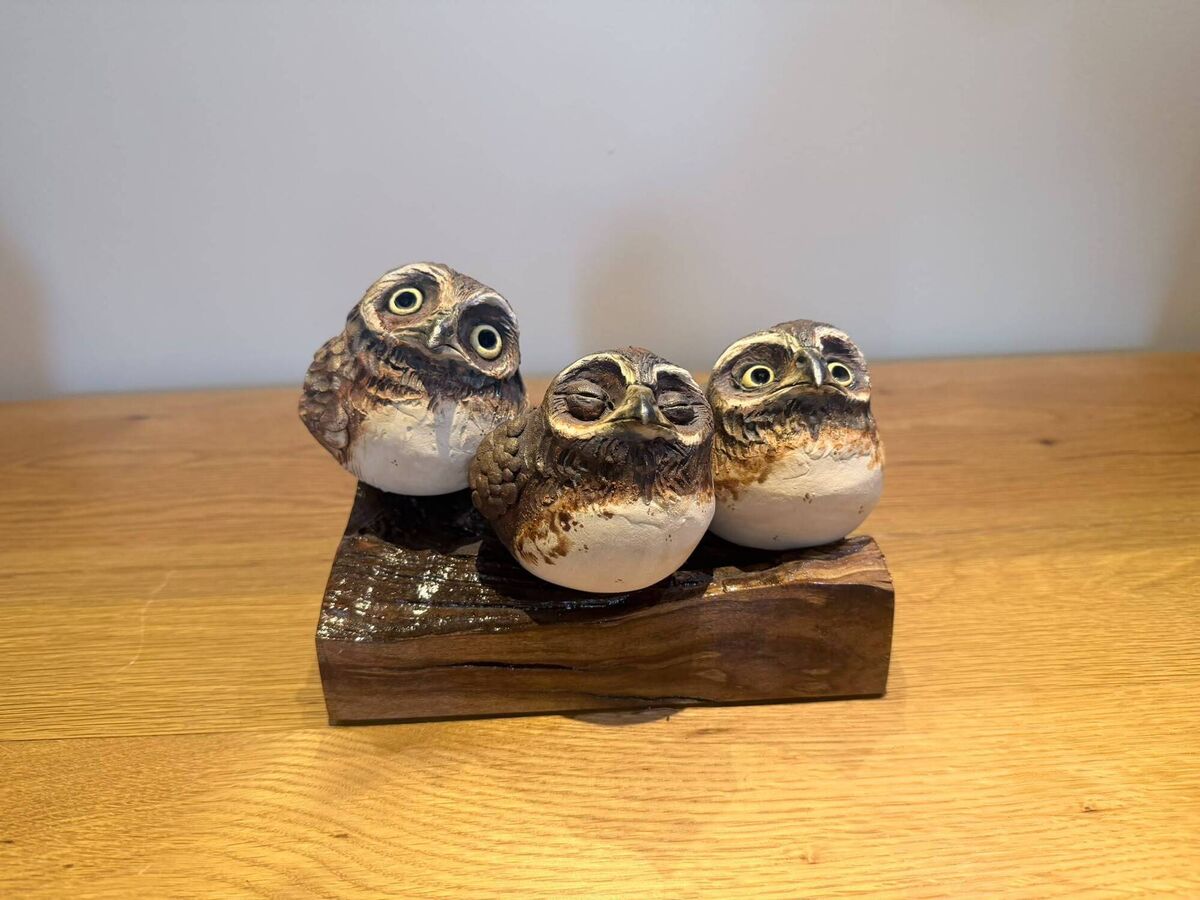 A piece made by Cork ceramicist Joanne Robey of three owls on a log was commissioned to represent Rory and Cheryl Leadbeater's three children. A piece made by Cork ceramicist Joanne Robey of three owls on a log was commissioned to represent Rory and Cheryl Leadbeater's three children.