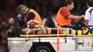 Leigh Halfpenny devastated at missing World Cup with knee injury