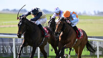 Beset fancied to shine for Joseph O'Brien in Tuesday's Galway feature