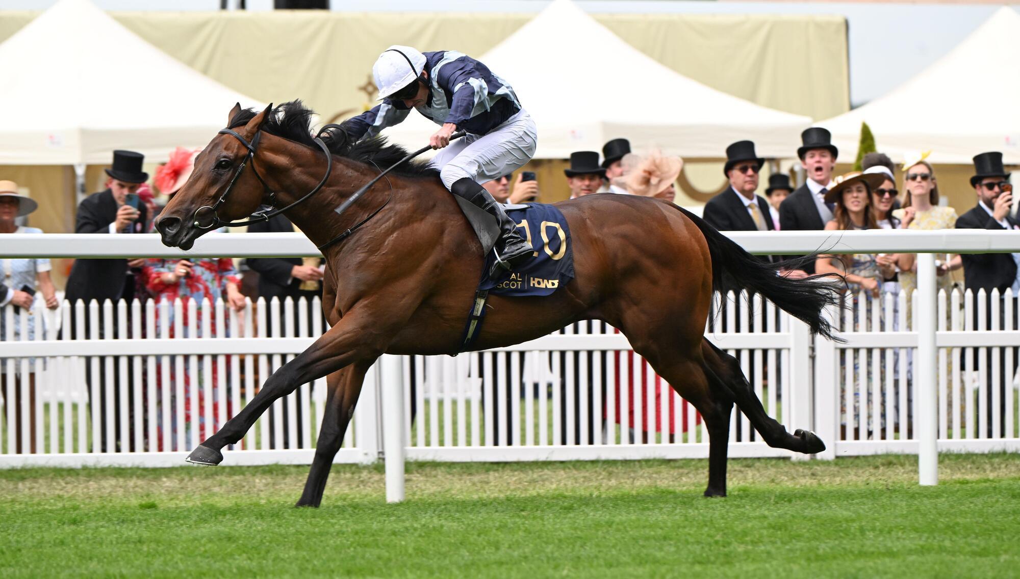 O’Brien looks to Loughnane for Enceladus Leger ride