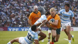 <p>Carter Gordon of the Wallabies Photo by Marcos Brindicci/Getty Images</p> <p>Carter Gordon of the Wallabies Photo by Marcos Brindicci/Getty Images</p>