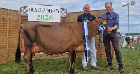 Paula Hynes: Cashel Blue on the menu at Dualla show