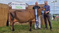 Paula Hynes: Cashel Blue on the menu at Dualla show