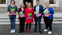 Supports urged for survivors of domestic abuse and sexual violence
