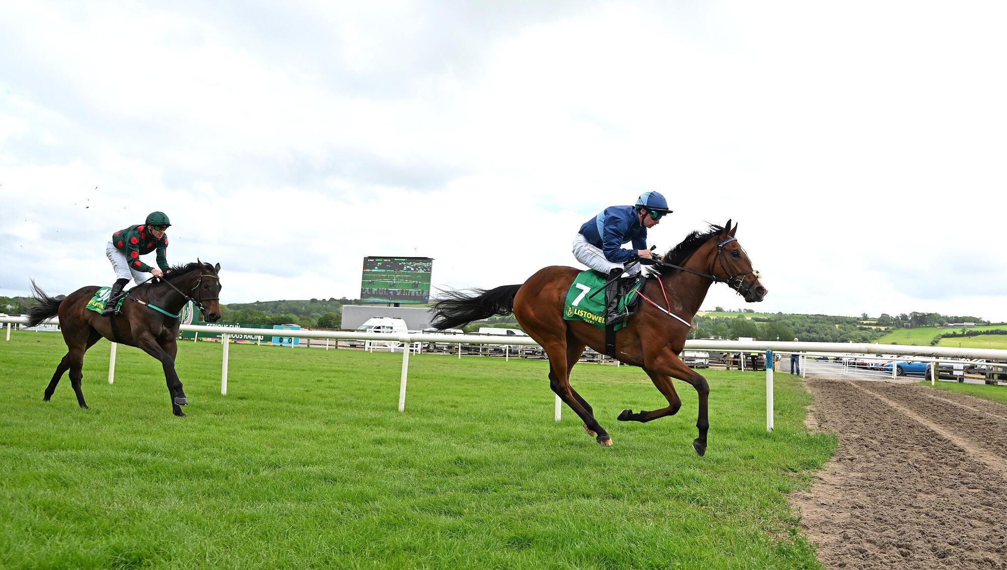 The Scallionator and Wesley Joyce win for trainer Mick Mulvany. Pic: Healy Racing.