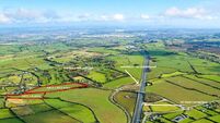 21ac Kildare farm guiding €33k/acre at auction