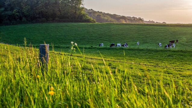 <p>Stockkeepers have been urged to assess winter feed stocks and address shortages early, as significant regional disparities remain following the summer drought. File picture</p>