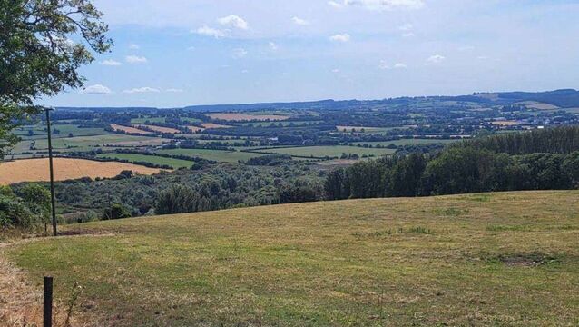 <p>Some of the grassland at Curraheen South, Tallow, Co Waterford. File picture</p>