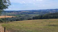 77ac West Waterford farm offers quality pasture with a little chunk of forestry